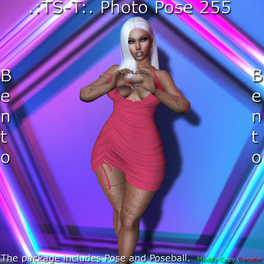 .:TS-T:. Photo Pose 255 Bento