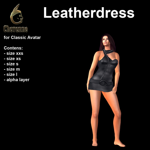 Cheyenne's Leatherdress