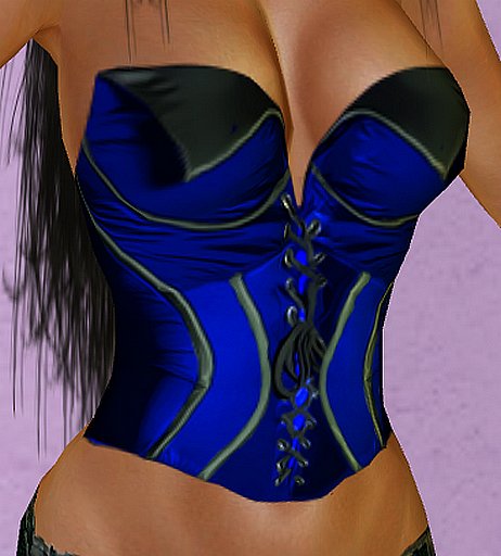 sexy bustier
