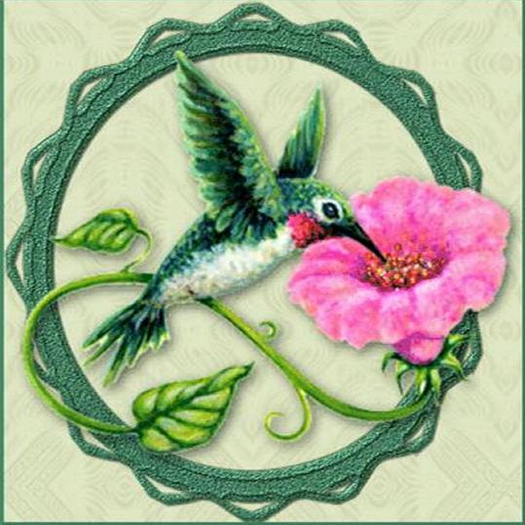 ART ANIMATED HUMMINGBIRD  FANTASMAGORIA BY FLAME