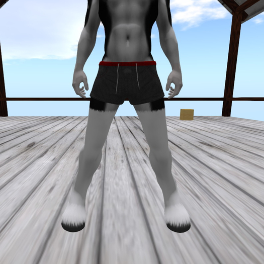 [F-Paws] Horse Paws + Hud