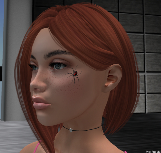Spider