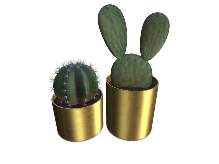 ARIA - Sunday Morning Tiny Cactus Pair