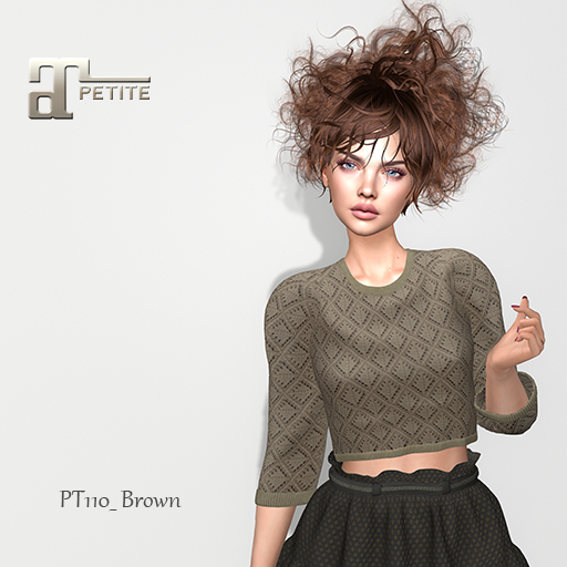 :EC: PT110 (Lara Petite)(Brown)(Add me)