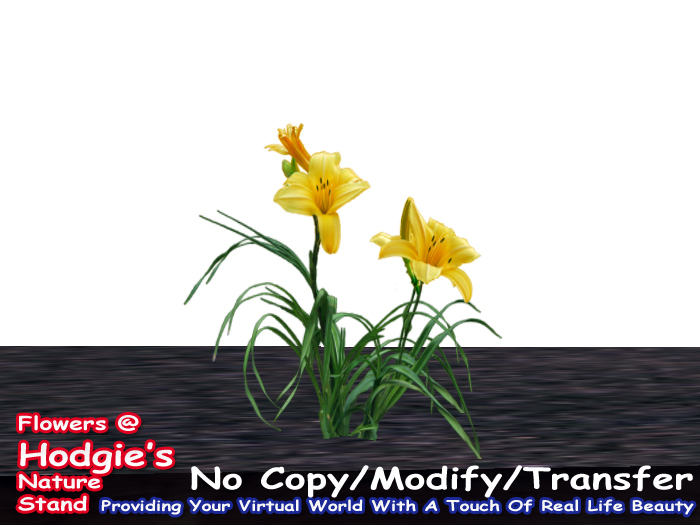 Daylilly (Yellow)(One Prim Plant)(1 prim sculpty)
