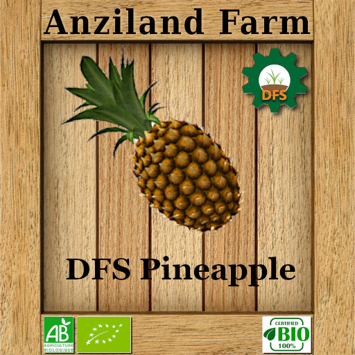 DFS Pineapple ( 6 USES )