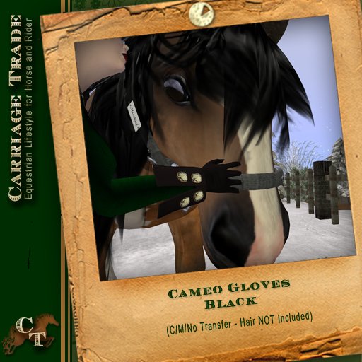 @CT@ Cameo Gloves Black