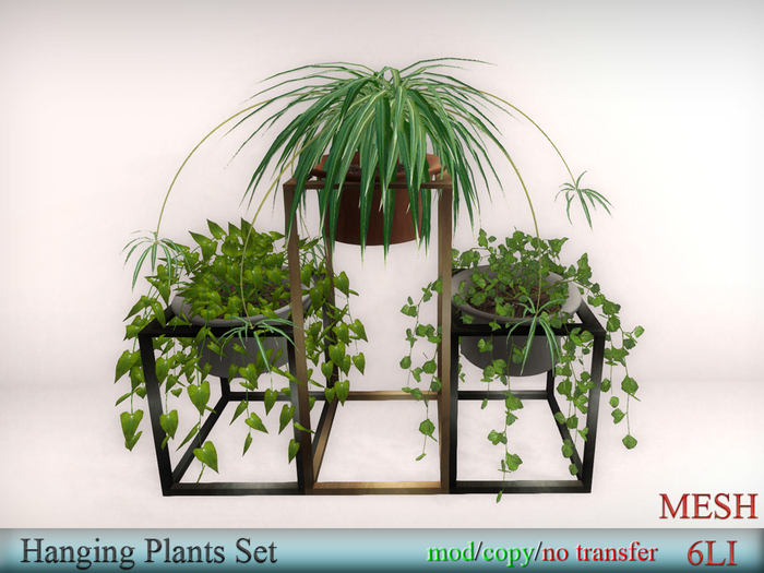 EasyDecor Hanging Plants Set  box