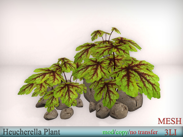 EasyDecor  Heucherella Plant box