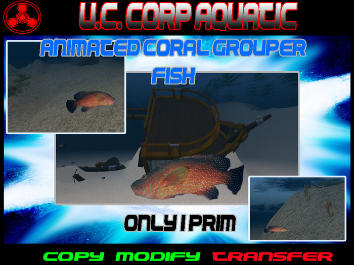 Coral Grouper Fish - Copy, Modify - FREE!