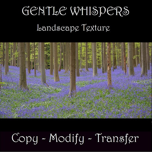 Bluebell Wood Texture