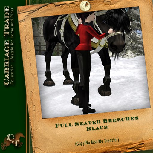 @CT@ Full Seated Breeches Black