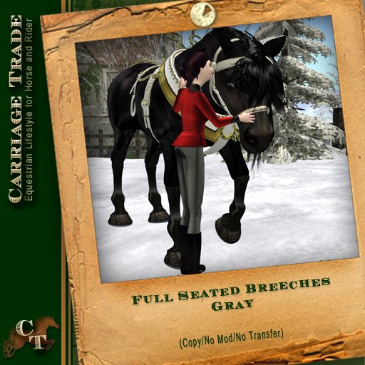 @CT@ Full Seated Breeches Gray