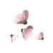 Adcherryblossome%2003