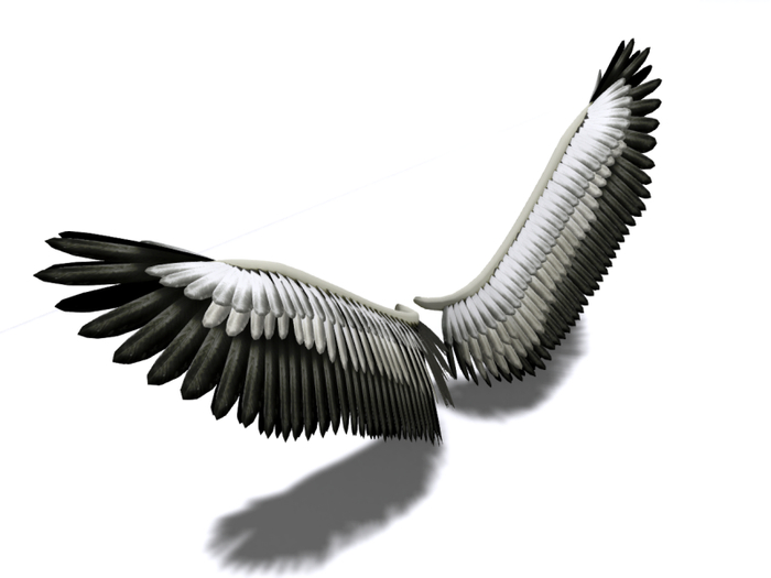 Wing -TURU-  White-A