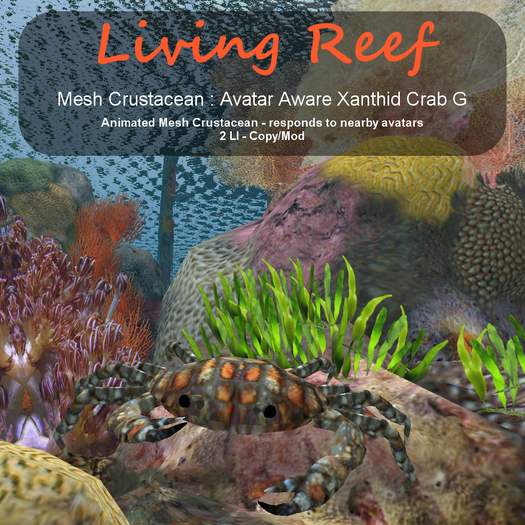 Inochi Reef - Avatar Aware Xanthid Crab G