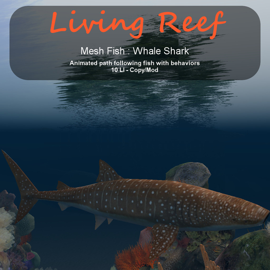 Inochi Reef - Whale Shark