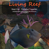 Inochi Reef : Mesh Fish - Pinktailed Triggerfish