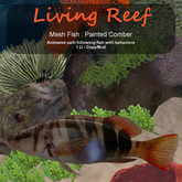 Inochi Reef : Mesh Fish - Painted Comber