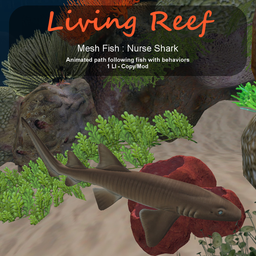 Inochi Reef - Nurse Shark