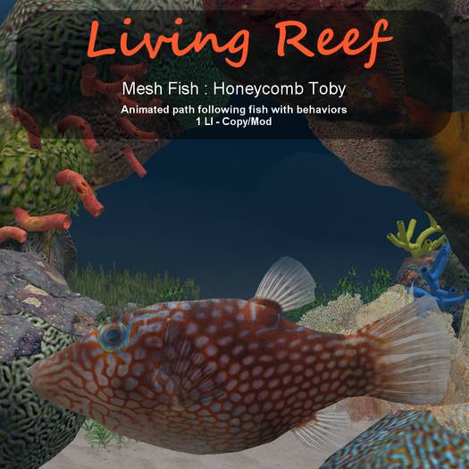 Inochi Reef : Mesh Fish - Honeycomb Toby