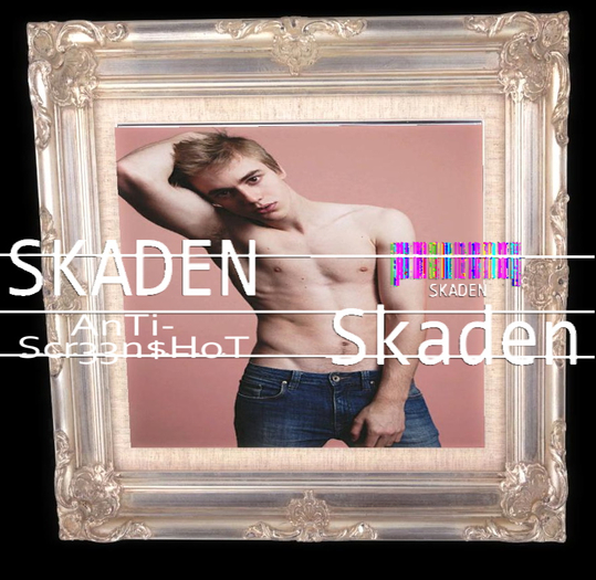 Skaden 541