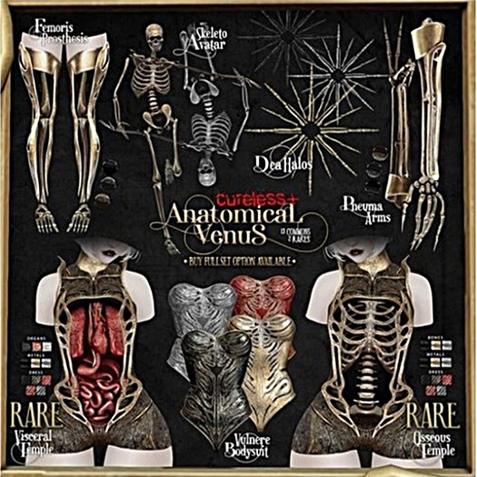 CURELESS[+] Anatomical Venus / M / Vulnere Bodysuit / GOLD