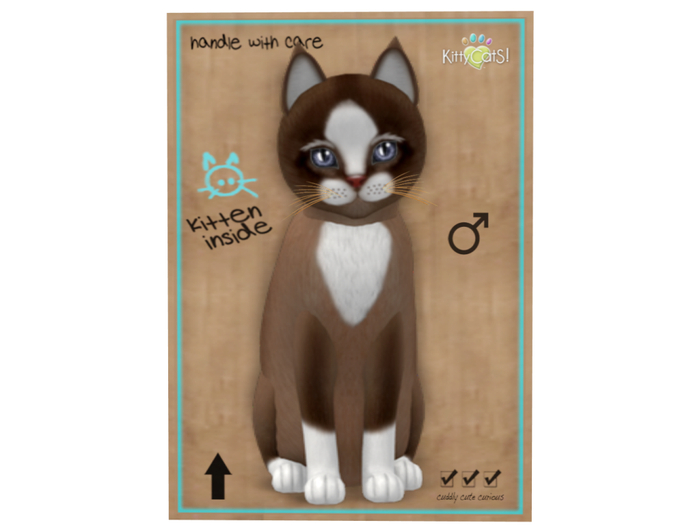KittyCatS Box - 9T - M - Chateau Cat - Toffee Caramel - Sashay