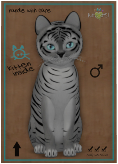 KittyCatS Box - Tiger! - Shadow