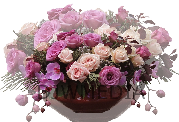 DJWMEDIA PINK ROSES AND PINK ORCHID