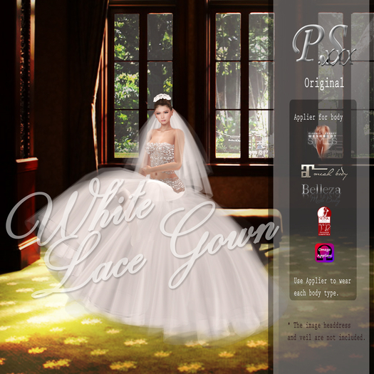 (DEMO)*~PS~* White Lace Gown