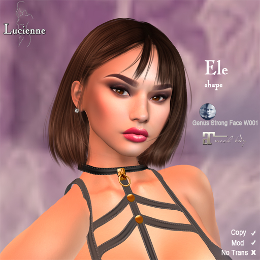 Ele by Lucienne Body Styling
