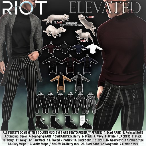 04. RIOT / Elevated Ferret - Lounging Companion RARE