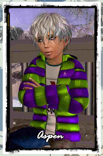 KC Puffer Jacket Ski Resorts - Aspen