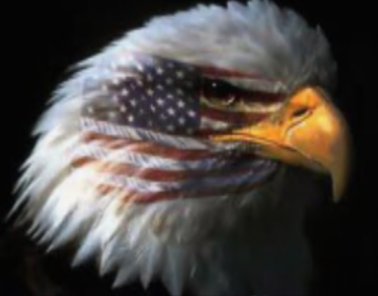 U.S.A, eagle head