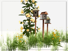 [AE] Garden Store- Bird Houses & Yellow Hibiscus