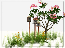[AE] Garden Store- Bird Houses & Frangipini