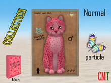 KittyCatS Box - New Born Kitten Cheetah! - Cherry male