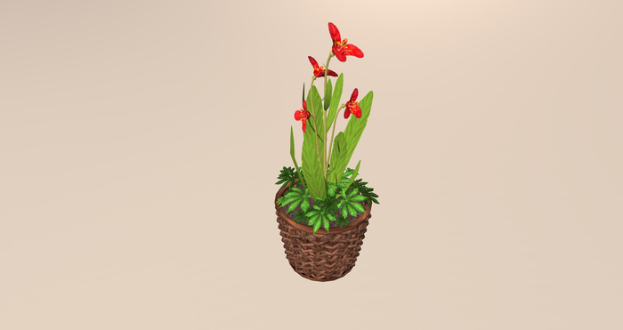 Pot with Mexican Shell Flower