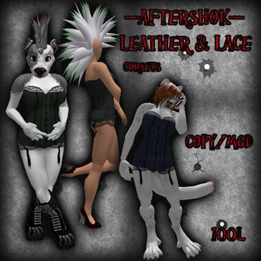 Corsets, Leather , Lace