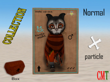 KittyCatS Box - New Born Kitten SpookyMateS! SunsetSeaS male