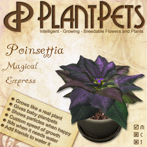 PlantPet Seed [Poinsettia *Magical Express*]