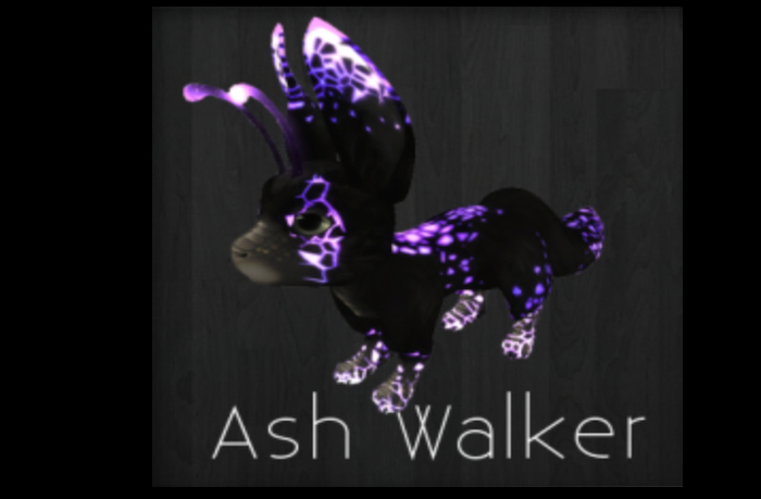 Ash Walker / fem / 8,75 / arrogant / Meeroo Nest ID #7217983