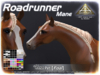 Abaddon%20arts%20 %20roadrunner%20foal%20slmp