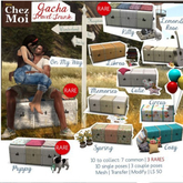 Kitty Travel Trunk * CHEZ MOI RARE