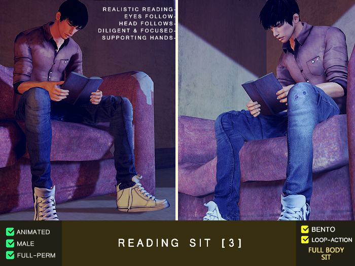 Reading Sit 3