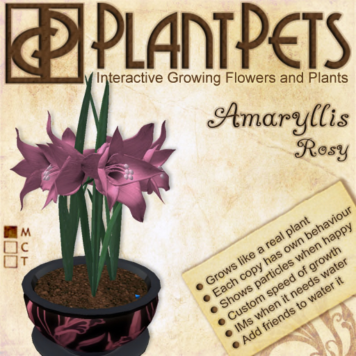 PlantPet Seed [Amaryllis *Big Rosy*]