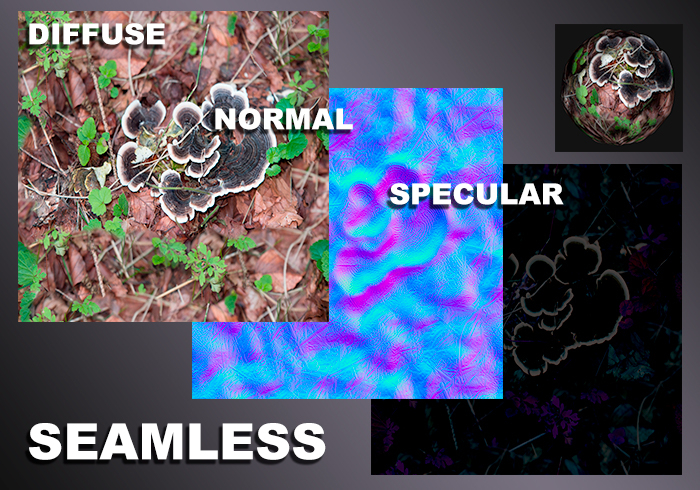Seamless MushroomTextures