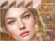 Eyebrows, Lelutka Evolution: LivAutumn.HighArch.Variety