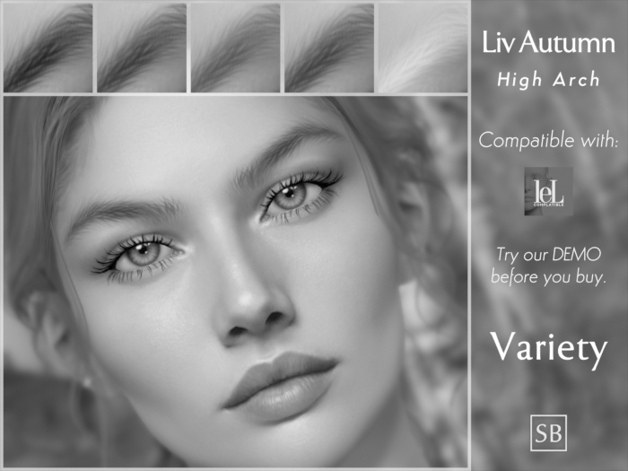 Eyebrows, Lelutka Evolution: LivAutumn.HighArch.DEMO